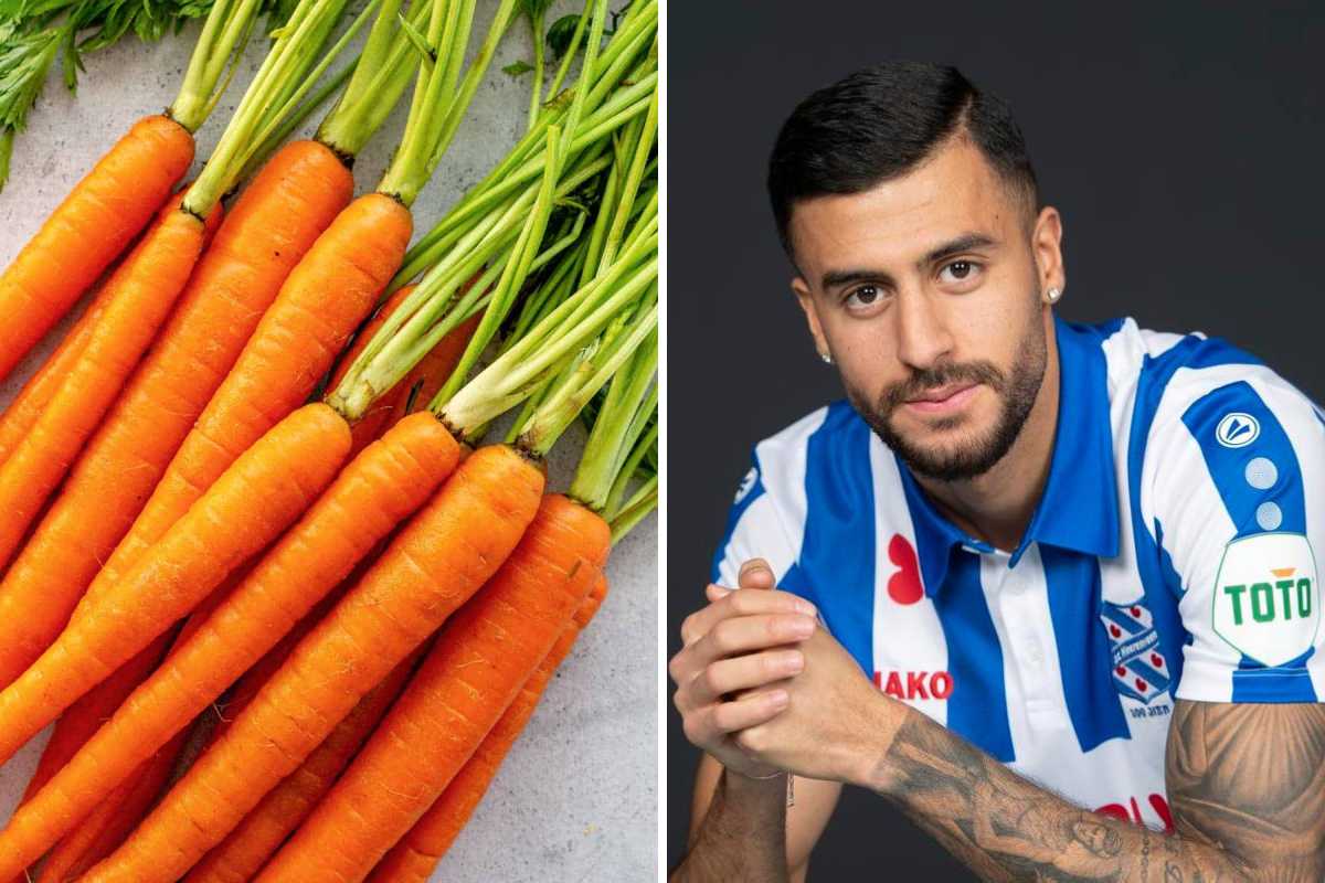 Rami Kaib và Carrot